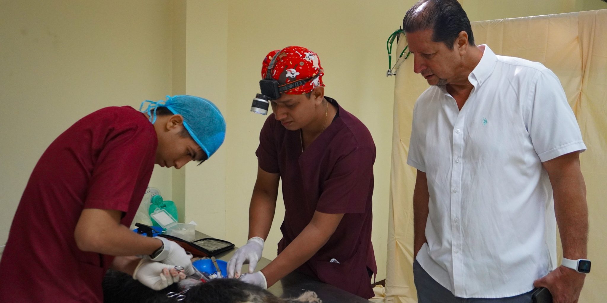 BRIGADA DE ESTERILIZACIÓN CANINA Y FELINA