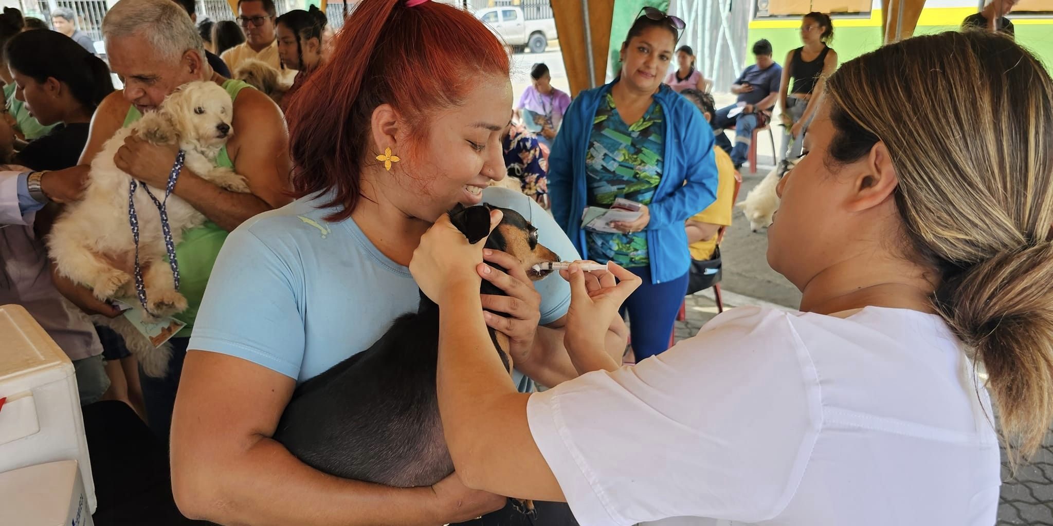 BRIGADA VETERINARIA