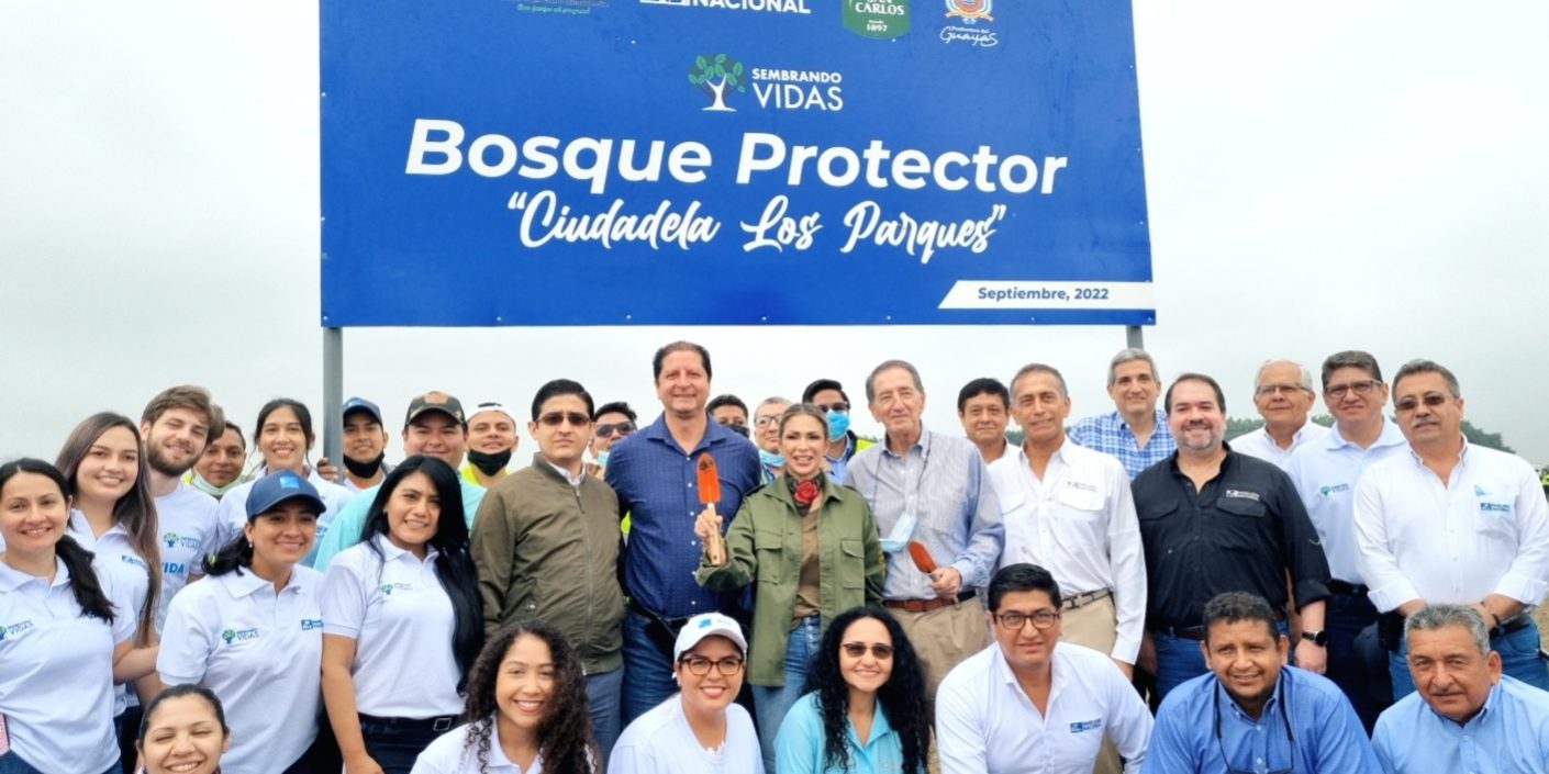 reforestacion prefectura